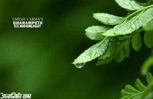 #Nagpur | नागपूर जिल्ह्यात २३ ते २६ जुलैदरम्यान मुसळधार पावसाचा इशारा